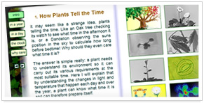 Plant Time homepage