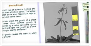 Plant Time webpage
